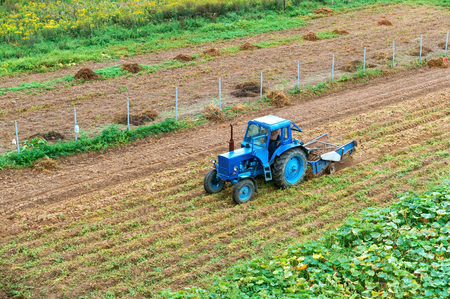 tractor and people in the field, potato harvest, August 25, 2018のeditorial素材