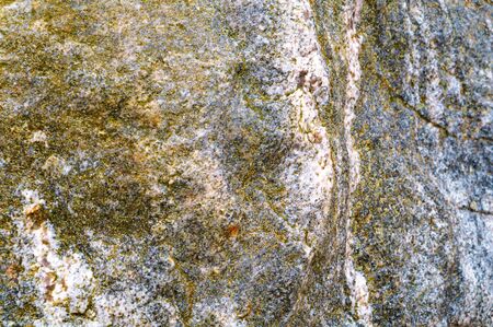 the texture of the stone, sea stone background