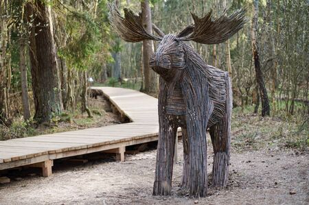 elk figurine woven from branches, elk art object in the reserve, By Kristina Evstigneeva, ecological trail, 7th km of the Curonian spit, Kaliningrad region, Russia, April 20, 2019のeditorial素材