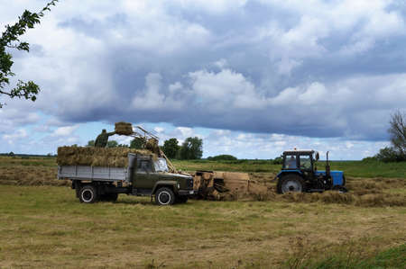 combine for forming hay bales, machine for harvesting hay from the field, Russia, Kaliningrad...