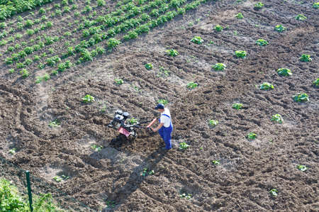 a farmer working in a field, agricultural landings, Kaliningrad region, Russia, June 17, 2020のeditorial素材