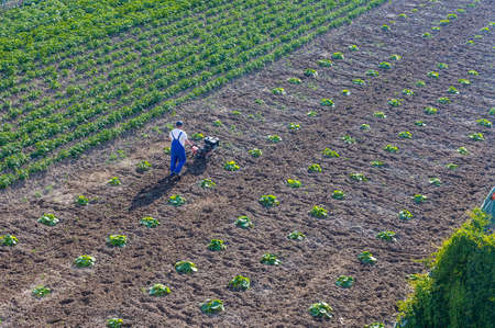 agricultural landings, a farmer working in a field, Kaliningrad region, Russia, June 17, 2020のeditorial素材