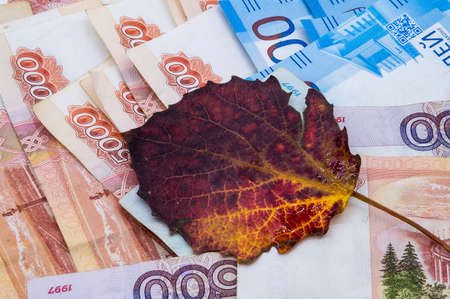 paper money and oak leaves, Russian money and autumn leaves, five thousand and two thousand rublesの写真素材