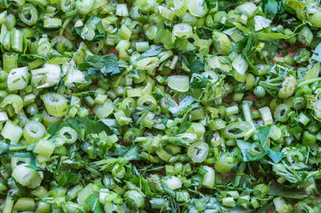 parsley and Dill on a wooden cutting boardの写真素材
