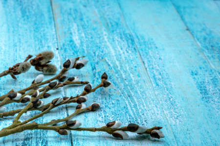 Happy Easter. Willow twigs. Holy Easter. Blue background.