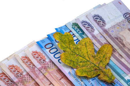 Yellow oak leaf on the background of money. Rubles and autumn leaf. Autumn promotions and sales.の写真素材