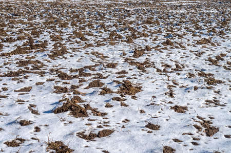 Farm fields sown. Agricultural fields plowed in early spring. Slightly snow-covered farmland.の写真素材