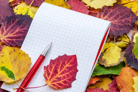 Red pen and notebook on an autumnal background. Autumn leaves and a notebook for notes.の写真素材