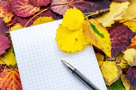 Autumn leaves and a notebook for notes. Black pen and notebook on an autumnal background.