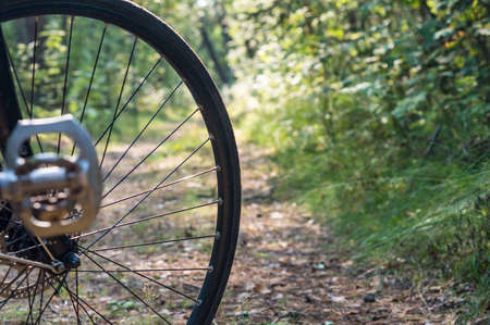 A bicycle ride on a forest trail. A bicycle wheel in the woods. A bicycle in the summer woods.の写真素材