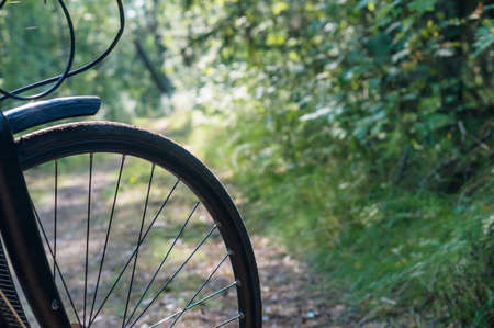 A bicycle ride on a forest trail. A bicycle wheel in the woods. A bicycle in the summer woods.の写真素材