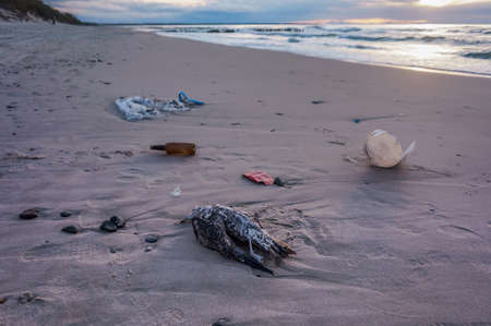 Garbage on the sea beach. A dead bird on the shore. Pollution of the sea shore.の写真素材
