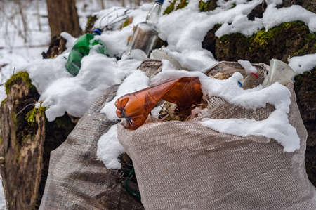 Bags of trash in the woods. Garbage in the forest in winter. Plastic scattered in the forest.の写真素材