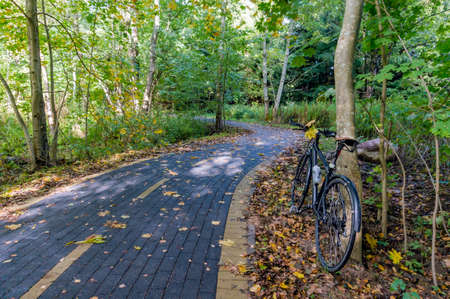 Cyclists riding through the woods. Cycling through the autumn forest. Relaxing and biking in the...