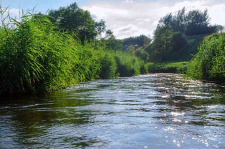 Forest natural pond. Lake or fishing pond. Landscape a beautiful pond.