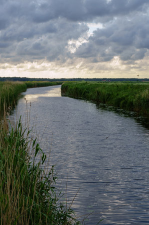 Forest natural pond. Lake or fishing pond. Landscape a beautiful pond.の写真素材