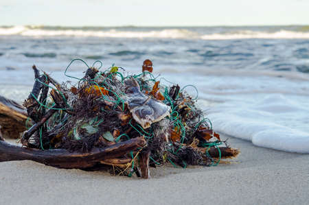 Dead fish in fishing nets. Fishing nets on the shore. Poachers in the sea.の写真素材
