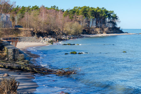 The sandy shore of the sea. Pine forest on the seashore. Waves on the Baltic Sea.の写真素材