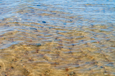 Water with a yellow tint. The bottom of a body of water through the water. The background is clear...
