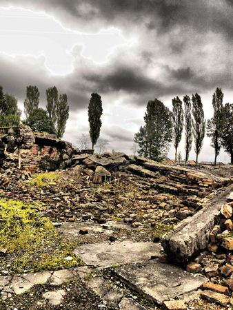 A pile of concrete/brick rubble with trees in the background and an atmopheric angry looking sky.の写真素材