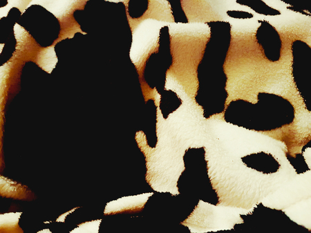 Full frame image of a cow print texture backgroundの写真素材