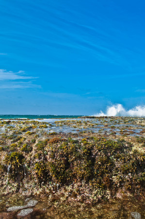 Water splash and blue skyの写真素材