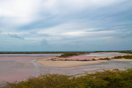 Pink waters  IIの写真素材