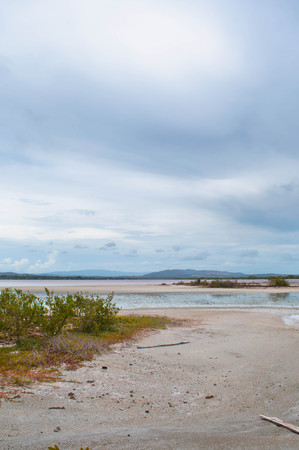 Beach portrait IIIの写真素材