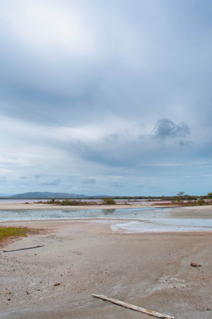 Beach portrait IIの写真素材