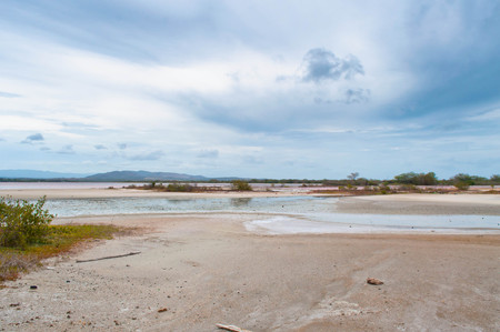 Beachy landscape IIの写真素材