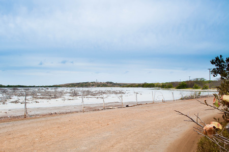 Dry forest and lighthouse in Cabo Rojo, PRの写真素材