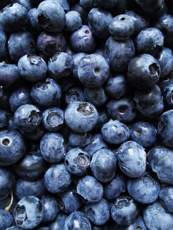 Fresh blueberries background. Top view. Texture of blueberries.の写真素材