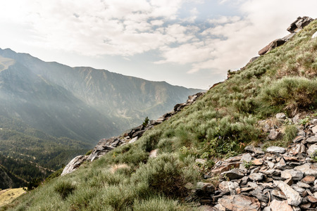 Mountain