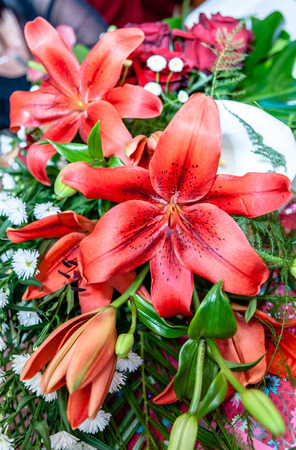 Flowersの写真素材