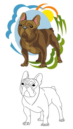 The breed of dog French Bulldogのイラスト素材