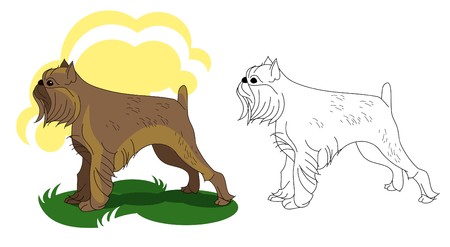 The breed of dog Griffon Bruxelloisのイラスト素材