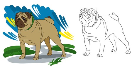 A little funny Mops dogのイラスト素材