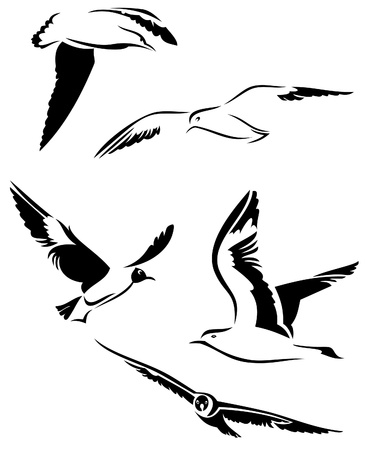vector seagullsのイラスト素材