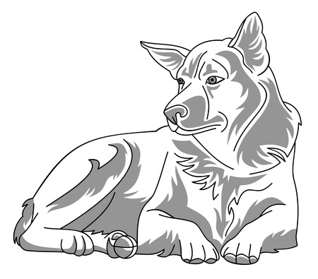 Dogのイラスト素材