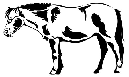 Vector outline image of a horseのイラスト素材