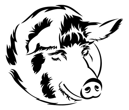 Pig headのイラスト素材