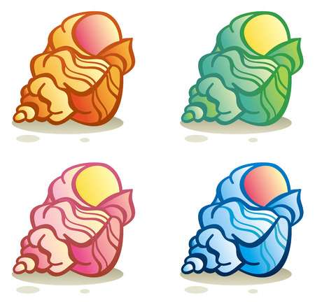 Different colored shells on a white backgroundのイラスト素材