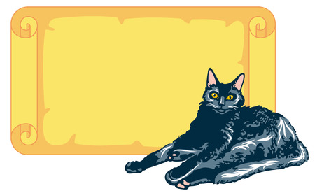 Black cat with paper scrollのイラスト素材