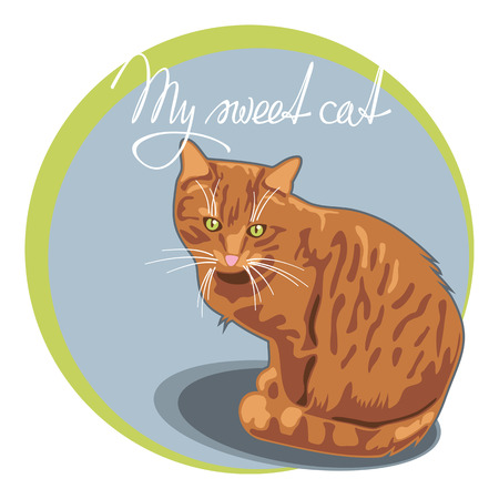 Sitting catのイラスト素材