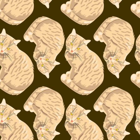 Seamless pattern with white catのイラスト素材