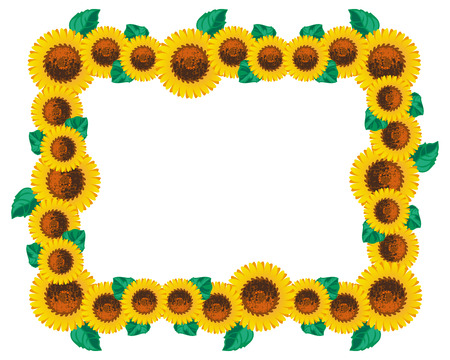 Horizontal frame with sunflowers. Vector clip art.のイラスト素材