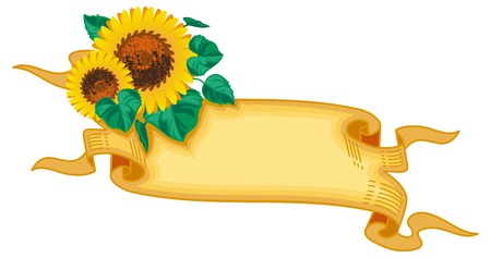Paper scroll with sunflowers. Vector clip art.のイラスト素材