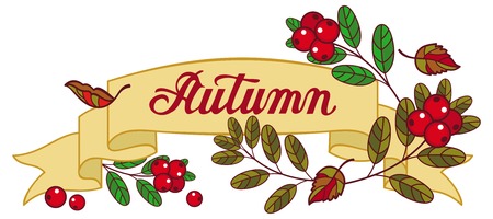 Horizontal banner with cranberries and artistic written word "Autumn". Vector clip art.のイラスト素材