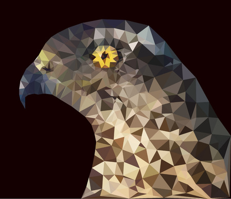 Head of a bird. Vector clip art.のイラスト素材