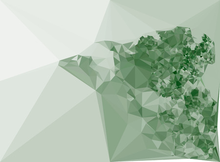 Abstract color monochrome mosaic backdrop. Geometric low polygonal background. Design element for book covers, presentations layouts, title backgrounds. Vector clip art.のイラスト素材